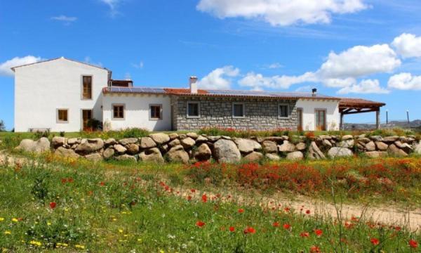 Tenute Testoni Agriturismo E B&B Bassacutena Esterno foto