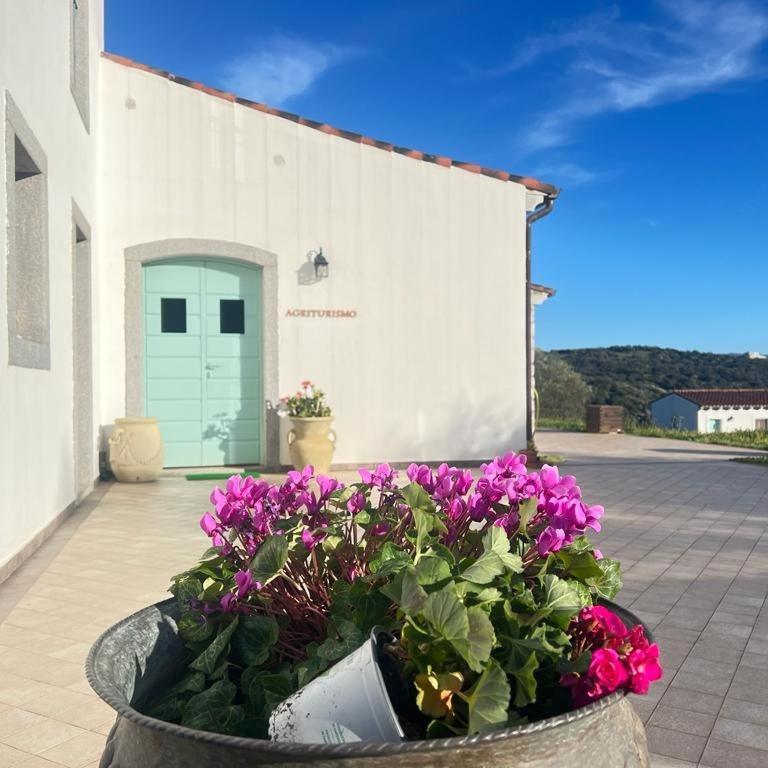 Tenute Testoni Agriturismo E B&B Bassacutena Esterno foto